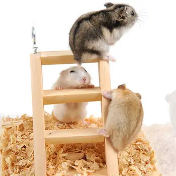 Günlük Renk Hamster Tırmanıyor Küçük Evcil Hayvanlar Altın Hamster Hamster Oyuncak Merdiven Hamster Spor Rahat Azı Dişleri Sevimli Küçük Evcil Hayvan Oyuncak