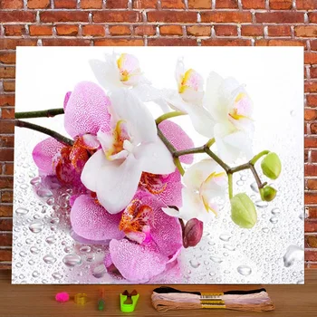 Çiçek Orkide Baskılı Kumaş 11CT Çapraz Dikiş DIY Nakış Desenleri DMC Konu İğne El Yapımı El Sanatları Damgalı